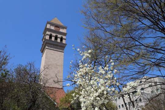 사진= 세종대학교 전경